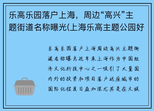 乐高乐园落户上海，周边“高兴”主题街道名称曝光(上海乐高主题公园好玩吗)