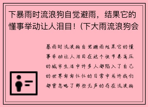 下暴雨时流浪狗自觉避雨，结果它的懂事举动让人泪目！(下大雨流浪狗会在哪躲雨)