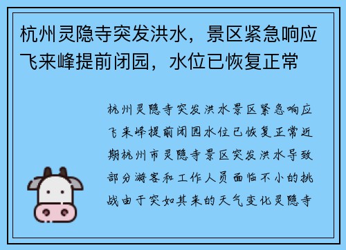 杭州灵隐寺突发洪水，景区紧急响应飞来峰提前闭园，水位已恢复正常